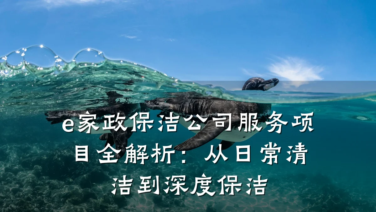 e家政保洁公司服务项目全解析：从日常清洁到深度保洁