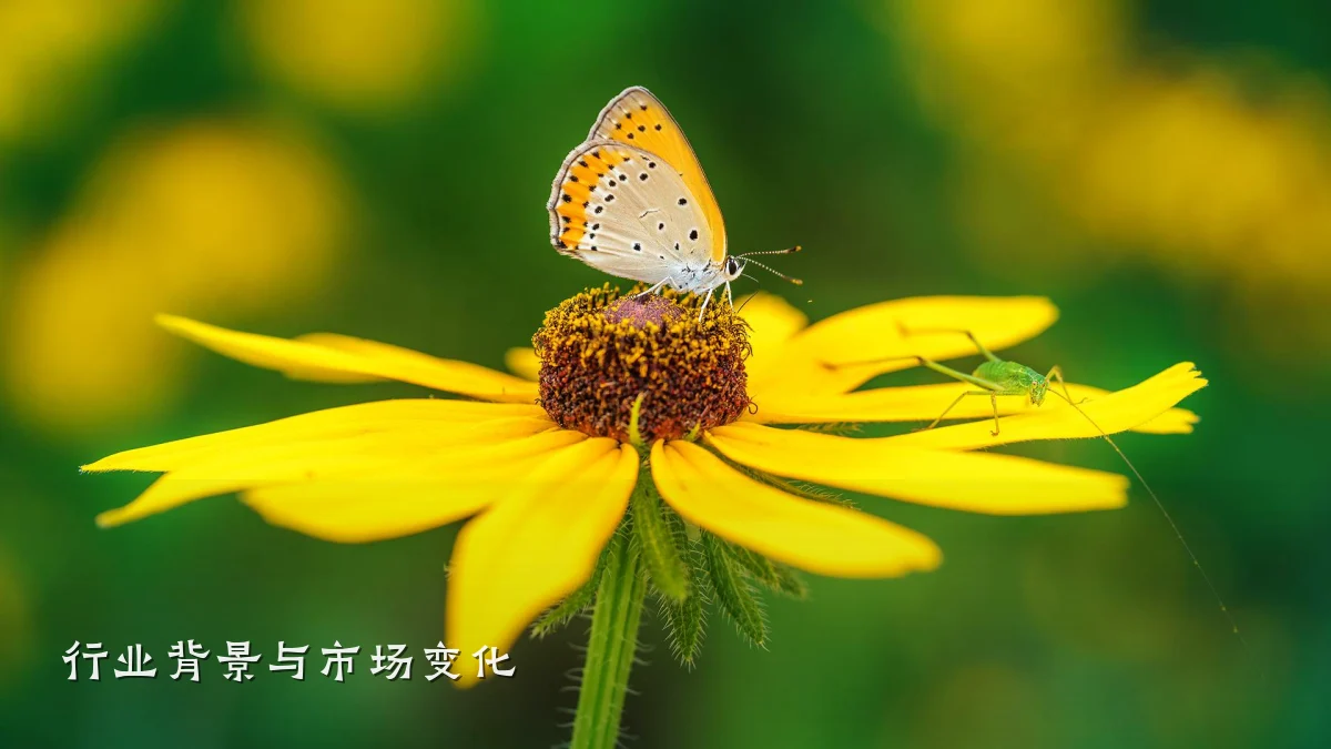 行业背景与市场变化