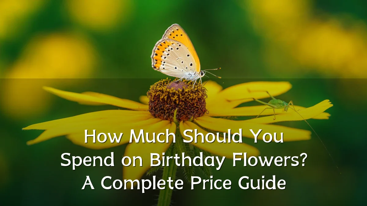 How Much Should You Spend on Birthday Flowers? A Complete Price Guide