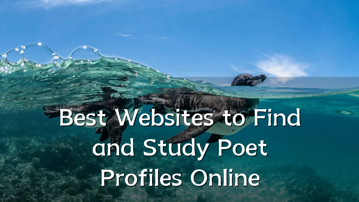 Best Websites to Find and Study Poet Profiles Online