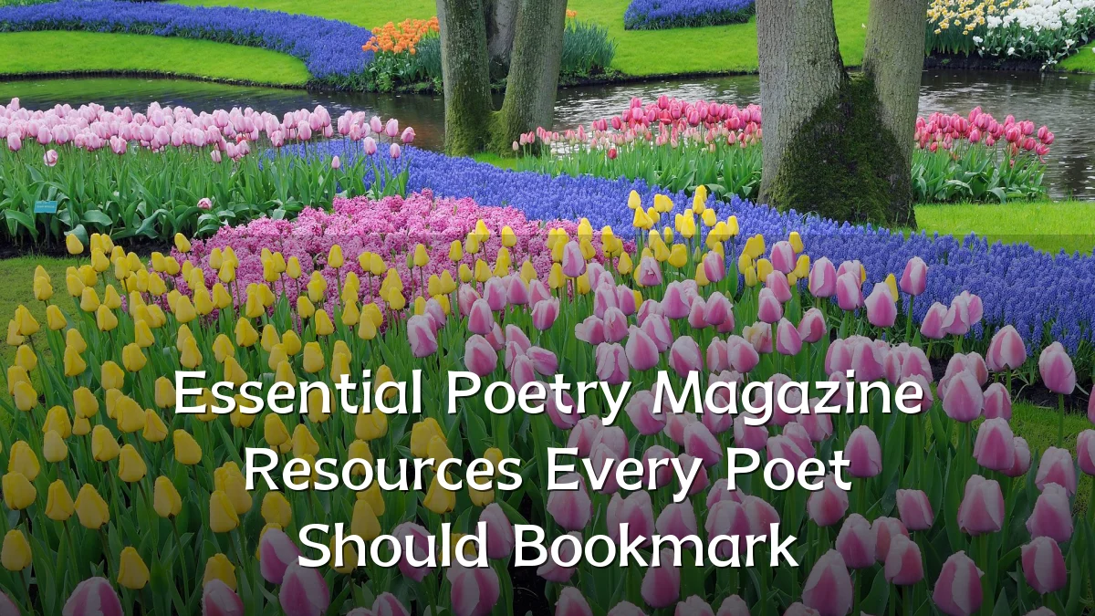 Essential Poetry Magazine Resources Every Poet Should Bookmark