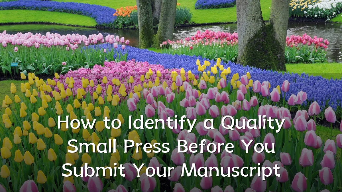How to Identify a Quality Small Press Before You Submit Your Manuscript