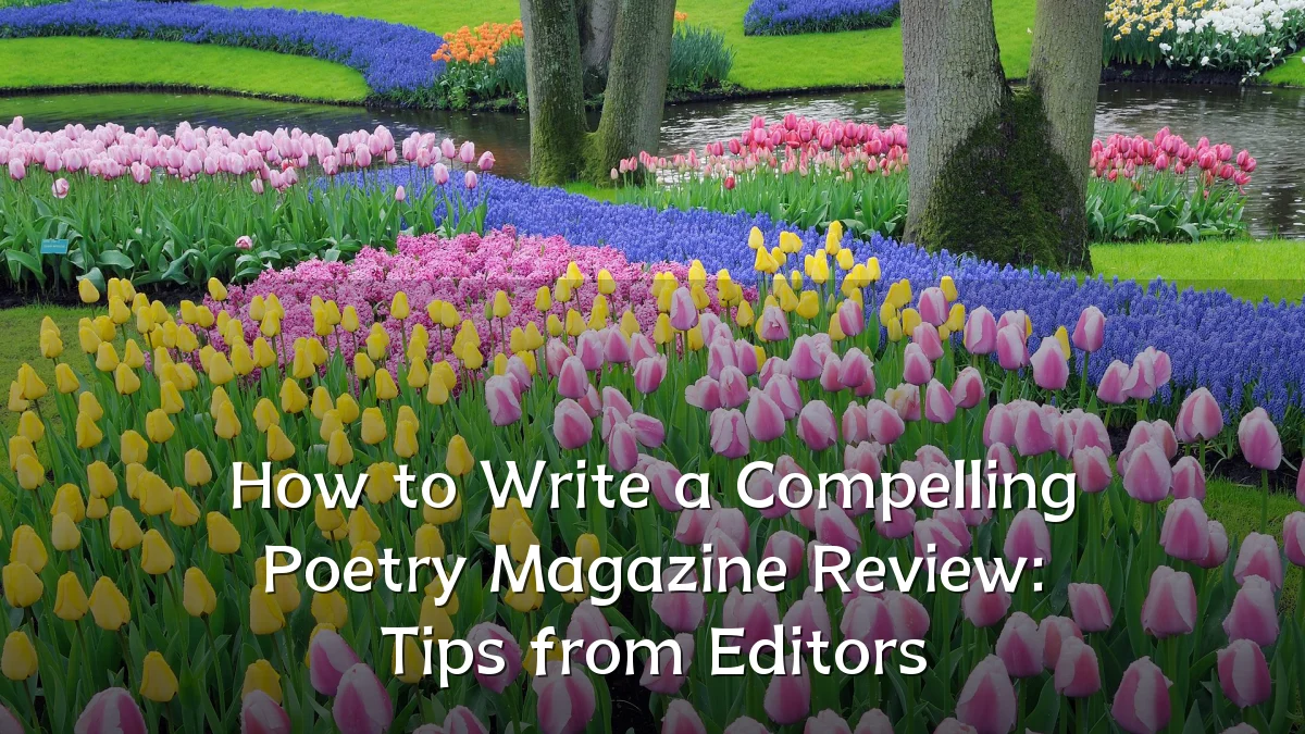 How to Write a Compelling Poetry Magazine Review: Tips from Editors