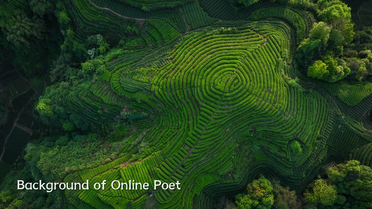 Background of Online Poet