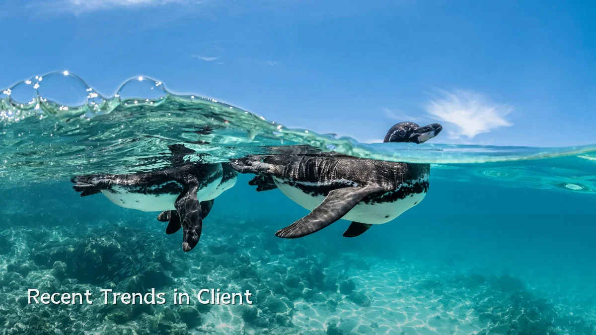 Recent Trends in Client