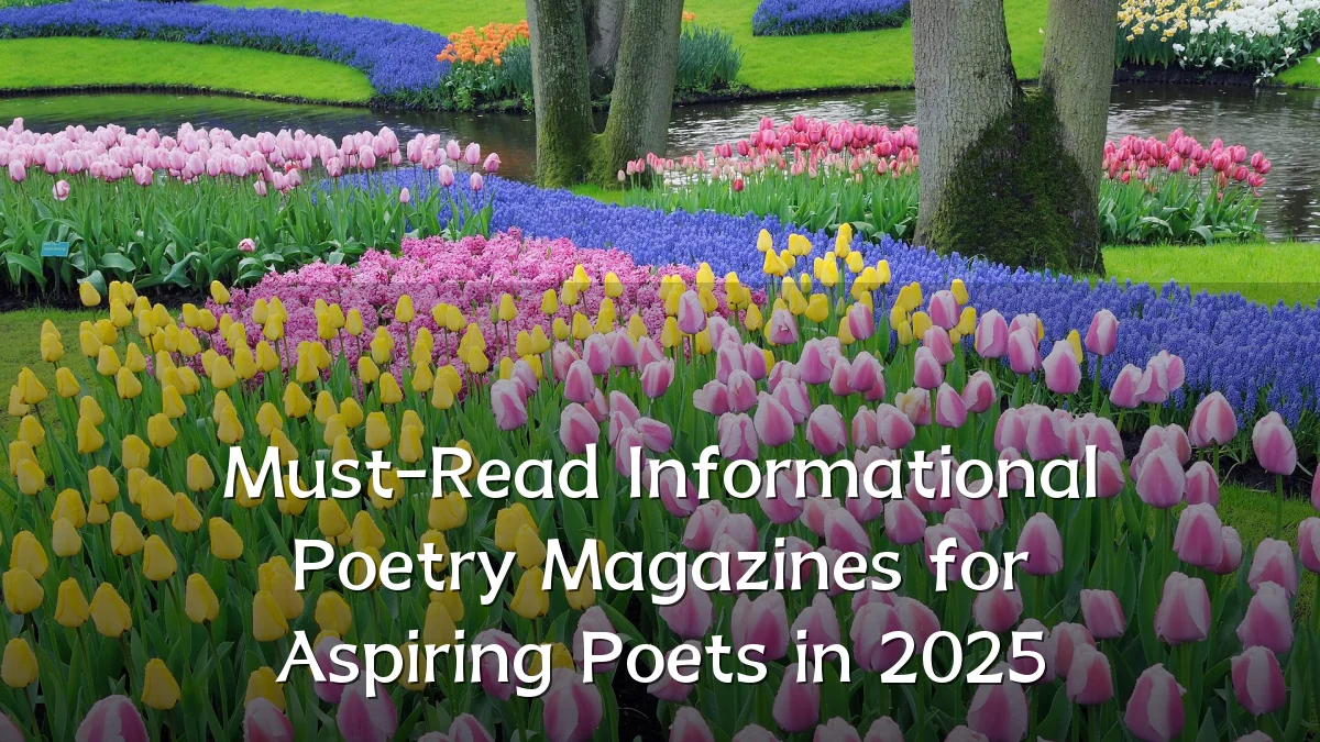 Must-Read Informational Poetry Magazines for Aspiring Poets in 2025