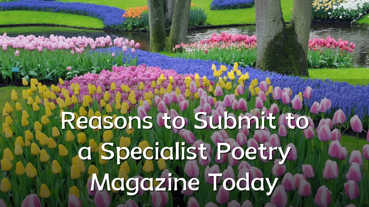 Reasons to Submit to a Specialist Poetry Magazine Today