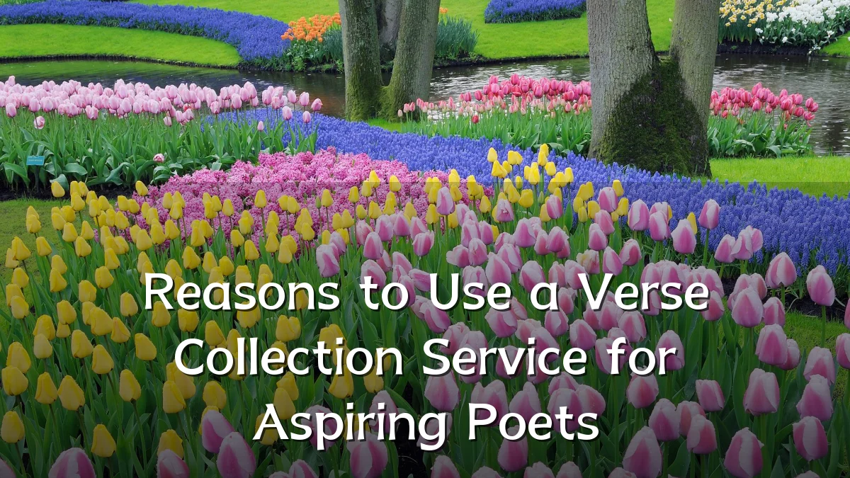 Reasons to Use a Verse Collection Service for Aspiring Poets