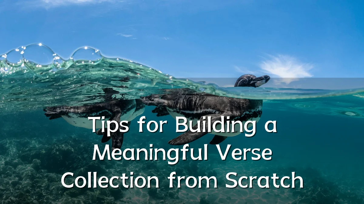 Tips for Building a Meaningful Verse Collection from Scratch
