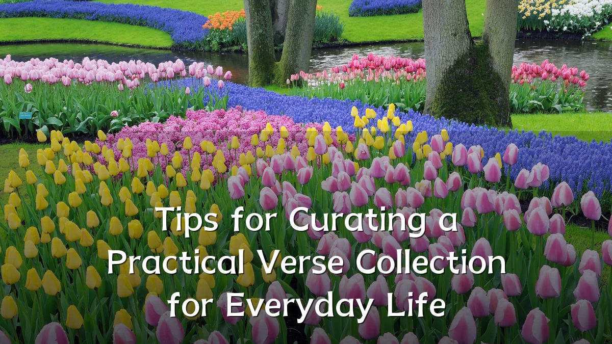 Tips for Curating a Practical Verse Collection for Everyday Life