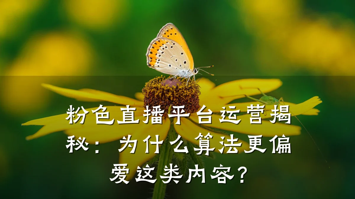 粉色直播平台运营揭秘:为什么算法更偏爱这类内容?