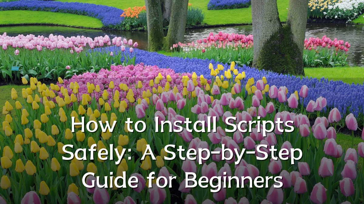 How to Install Scripts Safely: A Step-by-Step Guide for Beginners