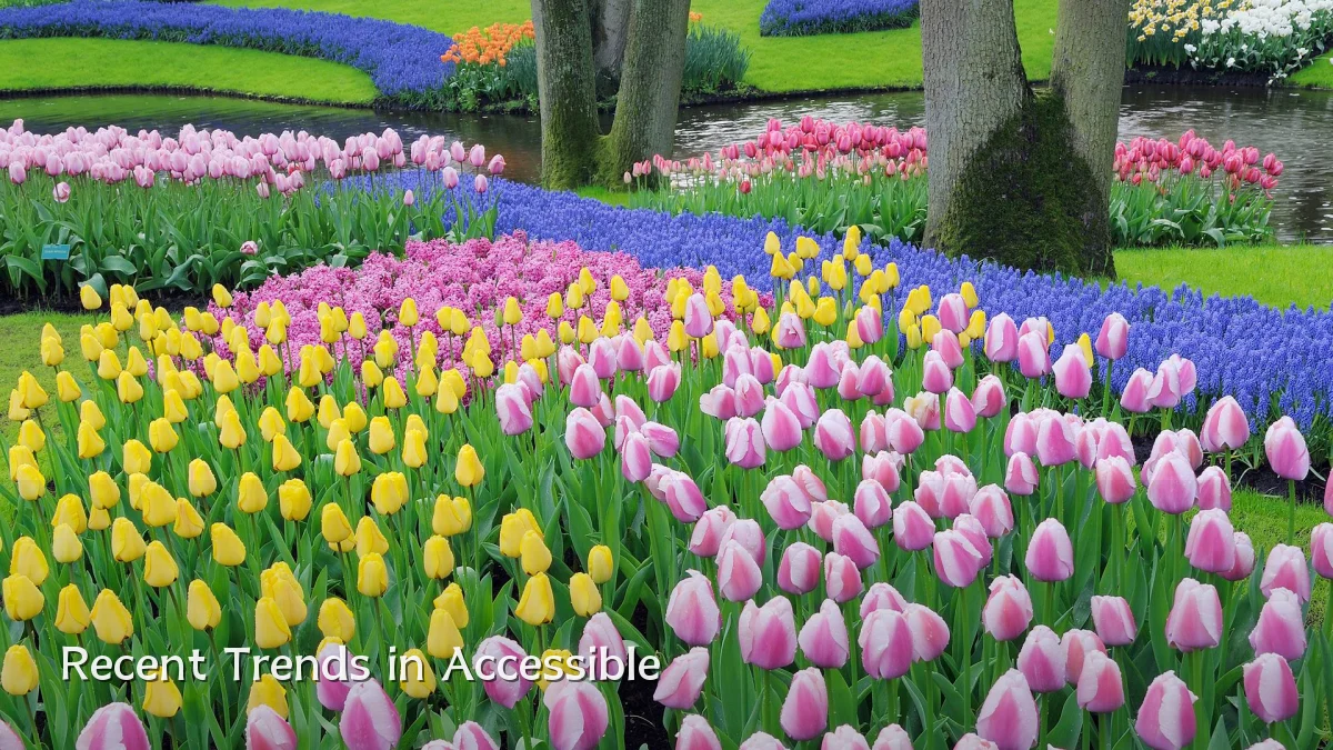 Recent Trends in Accessible