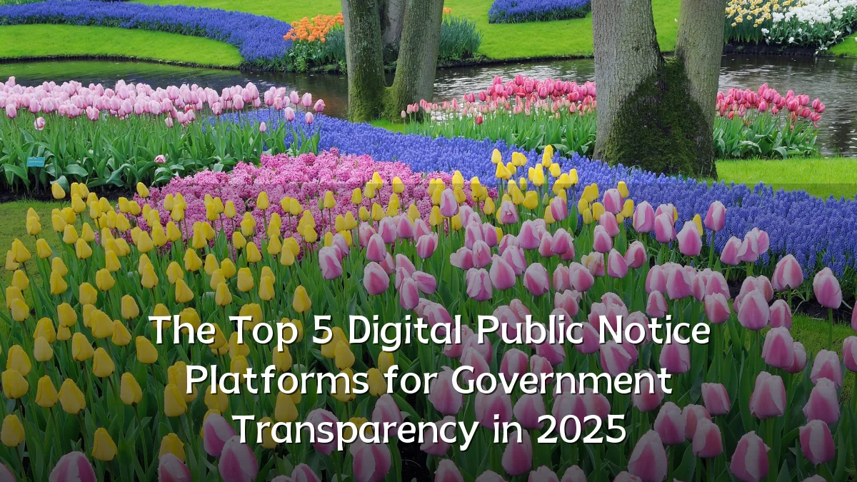 The Top 5 Digital Public Notice Platforms for Government Transparency in 2025