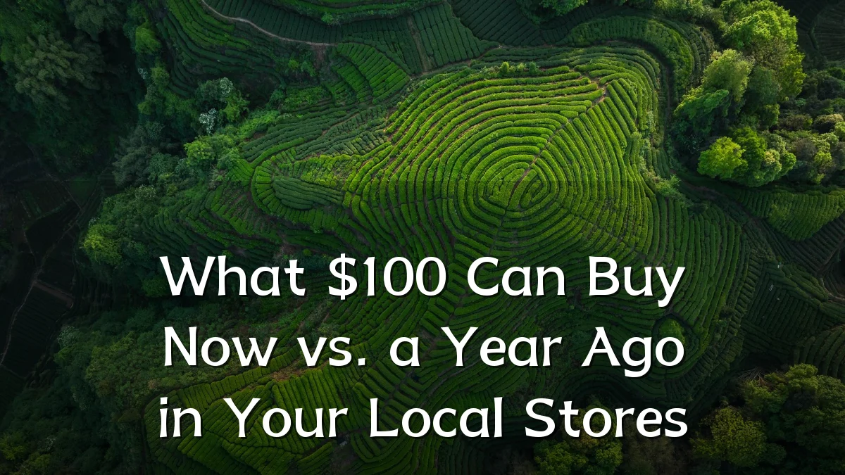 What $100 Can Buy Now vs. a Year Ago in Your Local Stores