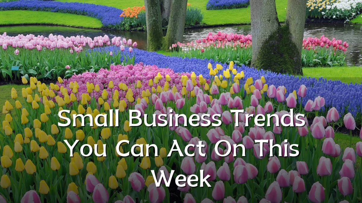 Small Business Trends You Can Act On This Week