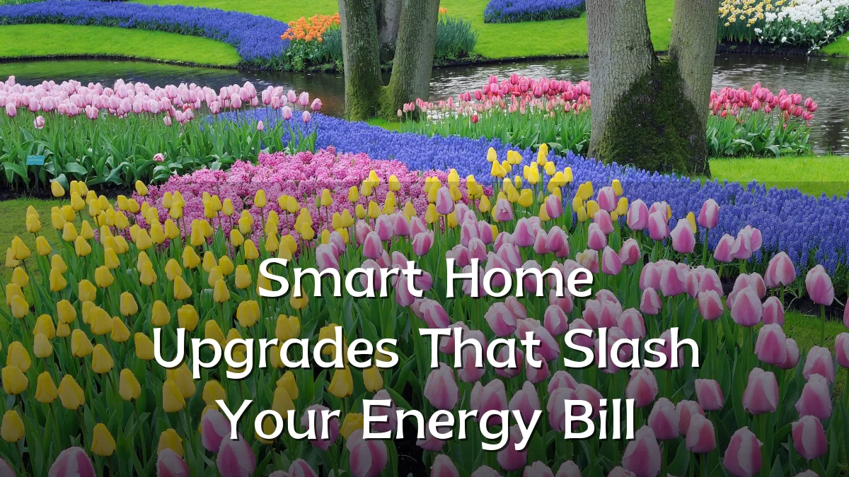 Smart Home Upgrades That Slash Your Energy Bill